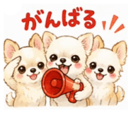 855404043