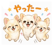 855404045