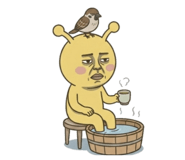 855404441