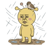 855404446