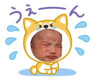 855404486