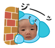855404490