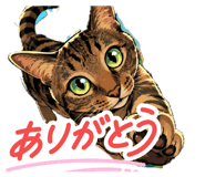 855404542