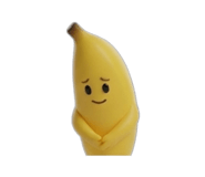 855404750