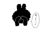 855405165