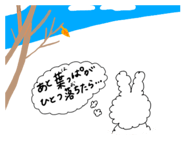 855405200
