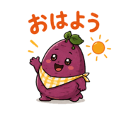 855405699