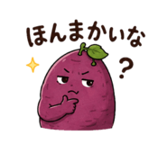 855405703