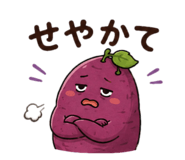855405704