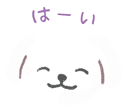 855408026