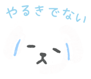 855408034