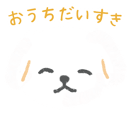 855408036