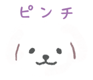 855408037