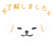 855408043