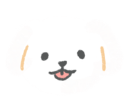 855408047