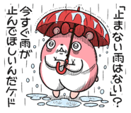 855409003