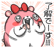 855409035