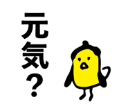 855409076