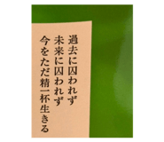 855410763