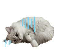 855410778