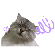 855410779
