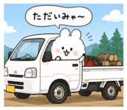 855411548