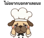 855411800