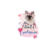 855412778
