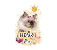 855412794
