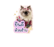 855412805