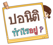 855445570