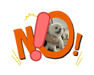 855456380