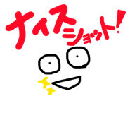 855456974
