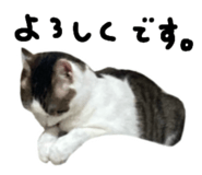 855457284
