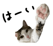 855457285