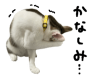 855457288