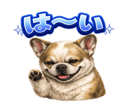 855457478