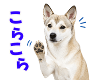 855480398