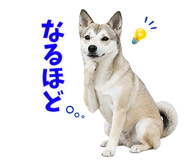 855480402