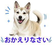 855480404