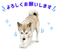 855480405