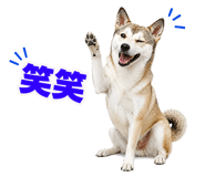855480413