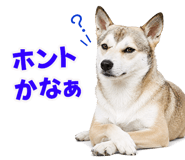 855480416