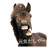 855484626