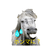 855484629