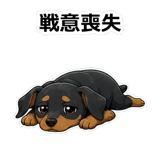 855485699