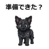 855486004
