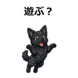 855486025