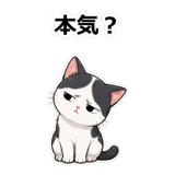 855489633