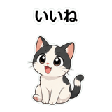855489654